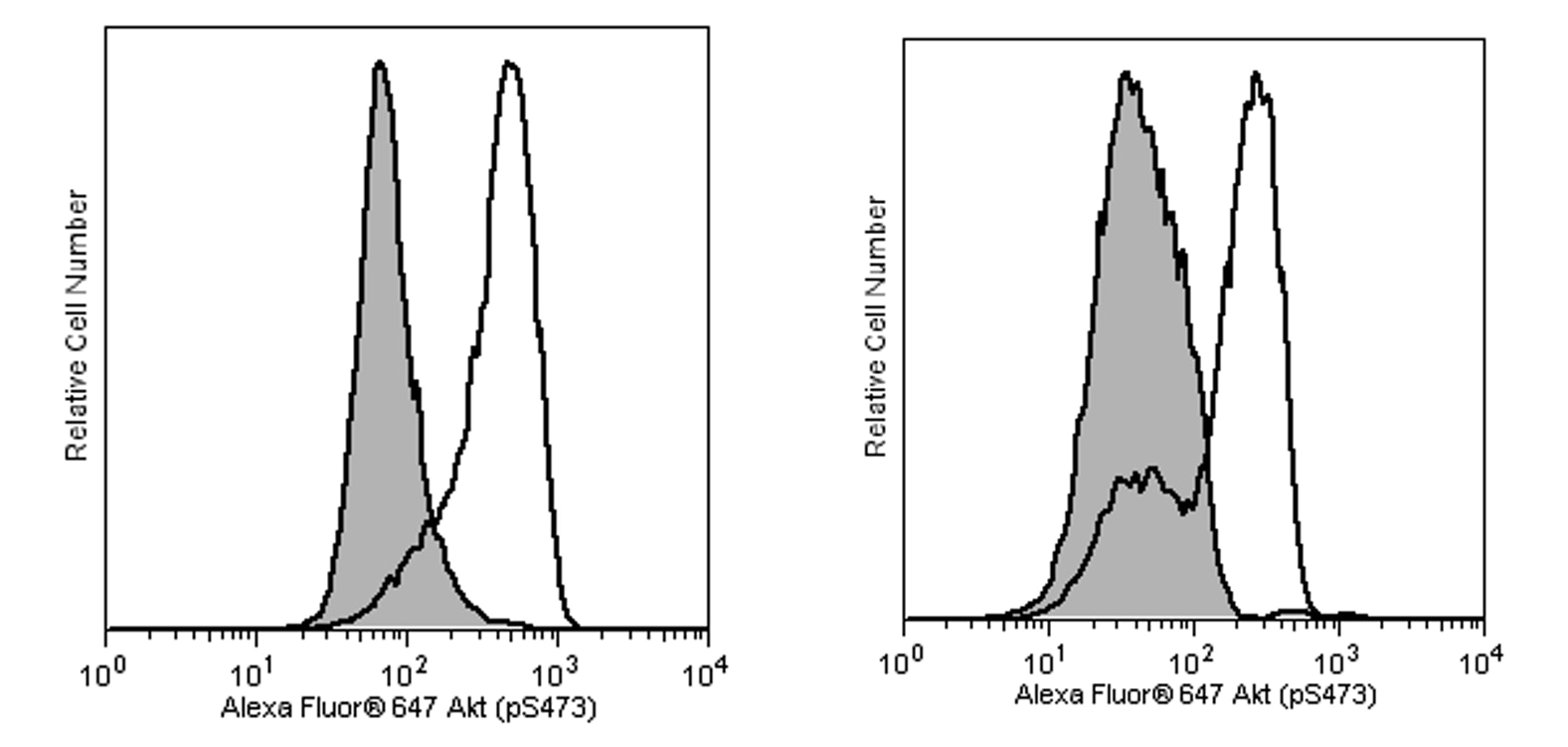 561670Image1.png